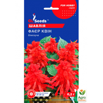 Сальвія Файєр Квін ТМ GL SEEDS 0.2г