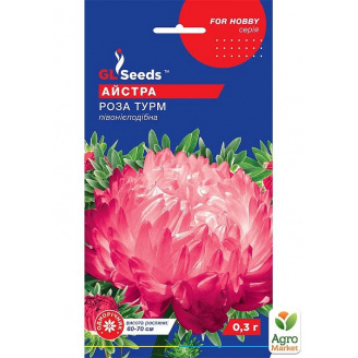 Астра Роза Турм ТМ GL SEEDS 0.3г