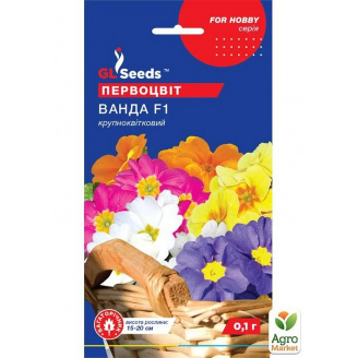 Примула Ванда F1 ТМ GL SEEDS 0.1г