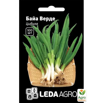 Цибуля на перо Байа Верде ТМ Leda Agro 100шт