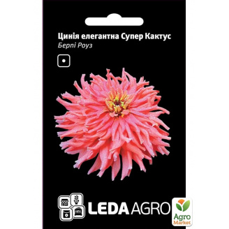 Циния Берпи Роуз ТМ Leda Agro 0,3г