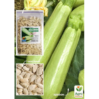 Кабачок Кустовой ТМ Весна 100г