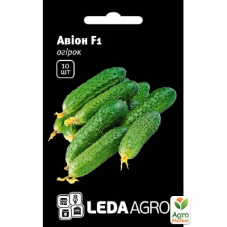 Огірок Авіон F1 ТМ Leda Agro 10шт