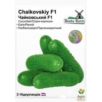 Огурец Чайковский F1 ТМ Beste Kern 10шт