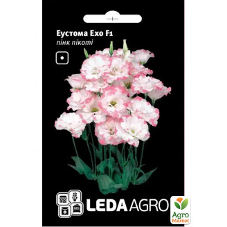 Эустома Эхо F1, пинк пикоти ТМ Leda Agro 5шт