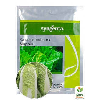 Капуста пекінська Маріо F1 ТМ Syngenta 2500шт