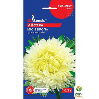 Астра Мисс Европа ТМ GL Seeds 0.3г