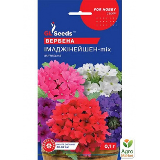 Вербена Імаджінейшн мікс F1 ТМ GL SEEDS 0.1г