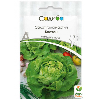 Салат кочанный Бостон ТМ Садиба центр 1г