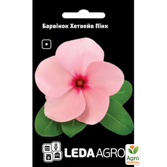 Барвінок Хетвейв Пінк ТМ Leda Agro 10шт