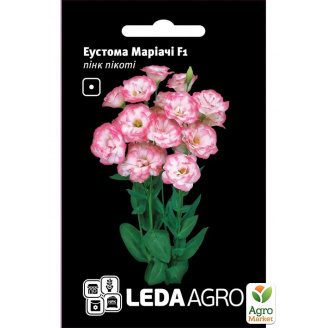 Эустома Мариачи F1, пинк пикоти ТМ Leda Agro 5шт
