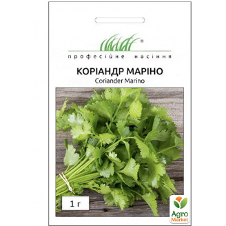 Коріандр Кімнатний ТМ Професійне насіння 1г