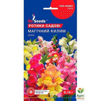 Левовий зів Магічний килим ТМ GL SEEDS 0.15г