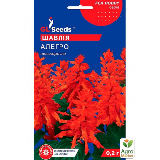 Сальвія Алегро ТМ GL SEEDS 0,1г