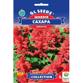 Сальвія Сахара ТМ GL SEEDS 0,2г