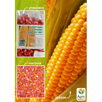 Кукуруза кормовая Кадр 267 ТМ Весна 100г