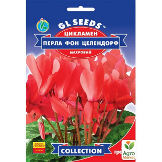 Цикламен Перла фон целендорф ТМ GL Seeds 5шт