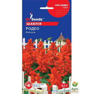 Сальвія Родео ТМ GL SEEDS 0.1г