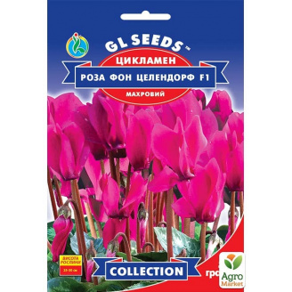 Цикламен Троянда фон целендорф F1 ТМ GL Seeds 5шт