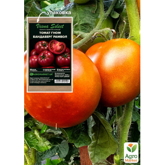 Томат гном Бандаберг Рамбол ТМ Vesna Select 0.1г