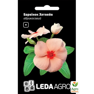 Барвінок Хетвейв абрикосовий ТМ Leda Agro 10шт
