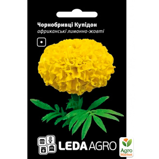 Бархатцы Купидон ТМ Leda Agro 0,2г