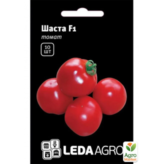 Томат Шаста F1 ТМ Leda Agro 10шт