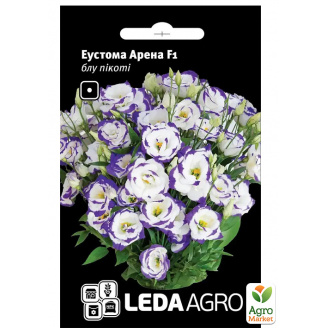 Эустома Арена F1, блу пикоти ТМ Leda Agro 5шт