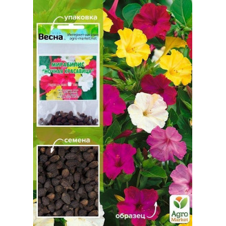 Мирабилис Ночная красавица (Зипер) ТМ Весна 1.5г