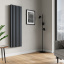 Радиатор Ideale Adele 12 8/1500/472 антрацит Борисполь