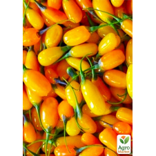 Годжі жовтий Голден Беррі (Golden Berry)