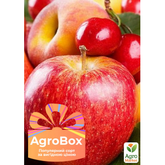 Ексклюзив! AGROBOX з високоврожайним плодовим деревом