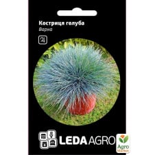 Овсяница голубая Варна ТМ Leda Agro 0,2г