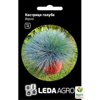 Овсяница голубая Варна ТМ Leda Agro 0,2г