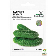 Огурец Кибрия F1 ТМ Beste Kern 10шт
