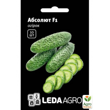 Огірок Абсолют F1 ТМ Leda Agro 10шт