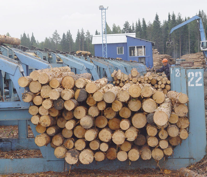 Купить лесоматериалы. Как измерить объем лесоматериала?