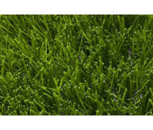 Искусственная трава для футбола MAX S