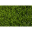 Штучна трава для футболу MAX S Одеса