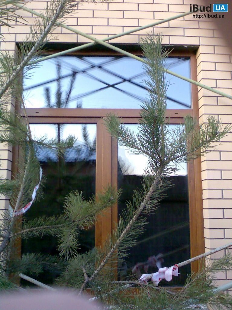 Окна золотой дуб