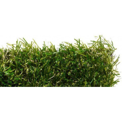 Штучний газон Domo FUNgrass Sensa Verde Нікополь