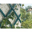 Раздвижные шпалеры для поддержки вьющихся растений Tenax Треплас 1x2 м зеленые Киев