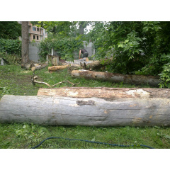 Распиливание деревьев Чернигов