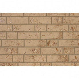 Клінкерна плитка ABC Klinkerguppe Austria Salzburg 240х71х8 мм (1207)