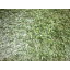 Трава декоративна штучна DOMO 30 мм Чернівці