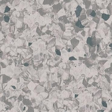 Лінолеум TARKETT PRIMO PLUS Cprpi-314 2*23 м сірий