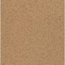 Лінолеум TARKETT PRISMA Stella 2 2*23 м світло-коричневий