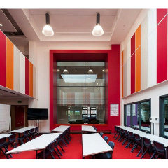 Акустична панель стельова Ecophon Wallpanel C 2400*600 мм Хмельницький