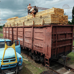 Дошка обрізна сосна свіжопиляна ТОВ ВФ СAHРAЙC     Івано-Франківськ