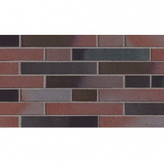 Клинкерная плитка ABC Klinkerguppe Blankenese-Winterhude dunkel-bunt 365*52*10 мм (2100-L 2103-L) Полтава